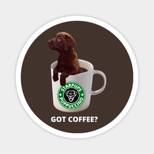 Got Coffee Labrador Puppy Magnet